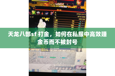 天龙八部sf 打金，如何在私服中高效赚金币而不被封号