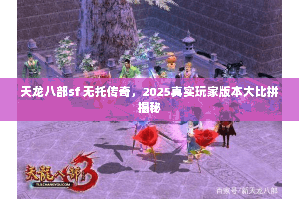天龙八部sf 无托传奇，2025真实玩家版本大比拼揭秘