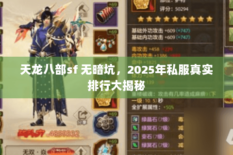 天龙八部sf 无暗坑，2025年私服真实排行大揭秘