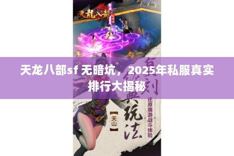 天龙八部sf 无暗坑，2025年私服真实排行大揭秘