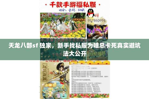 天龙八部sf 独家，新手找私服为啥总卡死真实避坑法大公开