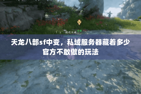 天龙八部sf中变，私域服务器藏着多少官方不敢做的玩法