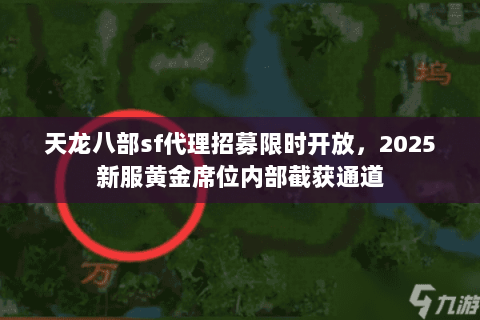 天龙八部sf代理招募限时开放，2025新服黄金席位内部截获通道