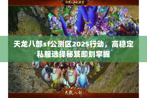 天龙八部sf公测区2025行动，高稳定私服选择秘笈即刻掌握