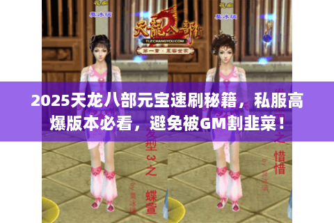 2025天龙八部元宝速刷秘籍，私服高爆版本必看，避免被GM割韭菜！