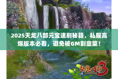 2025天龙八部元宝速刷秘籍，私服高爆版本必看，避免被GM割韭菜！