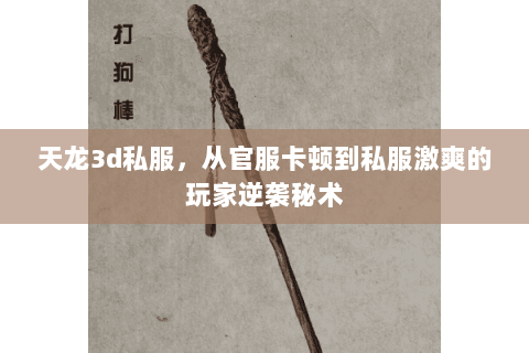 天龙3d私服，从官服卡顿到私服激爽的玩家逆袭秘术