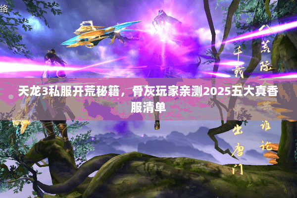 天龙3私服开荒秘籍,骨灰玩家亲测2025五大真香服清单 天龙3私服开荒秘籍,骨灰玩家亲测2025五大真香服清单