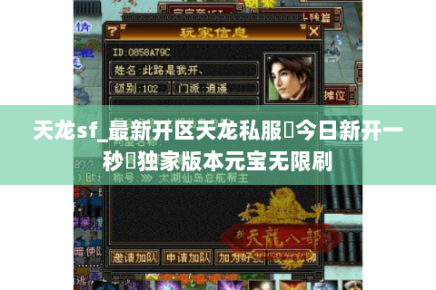 天龙sf_最新开区天龙私服▶今日新开一秒◀独家版本元宝无限刷