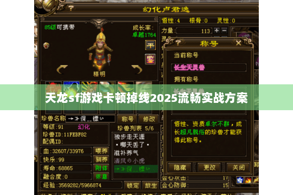 天龙sf游戏卡顿掉线2025流畅实战方案