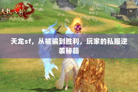 天龙sf,从被骗到胜利,玩家的私服逆袭秘籍 天龙sf,从被骗到胜利,玩家的私服逆袭秘籍