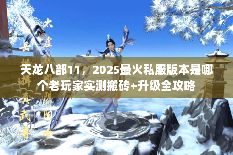 天龙八部11，2025最火私服版本是哪个老玩家实测搬砖+升级全攻略