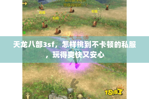 天龙八部3sf，怎样挑到不卡顿的私服，玩得爽快又安心