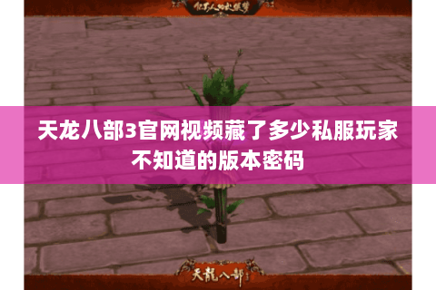 天龙八部3官网视频藏了多少私服玩家不知道的版本密码