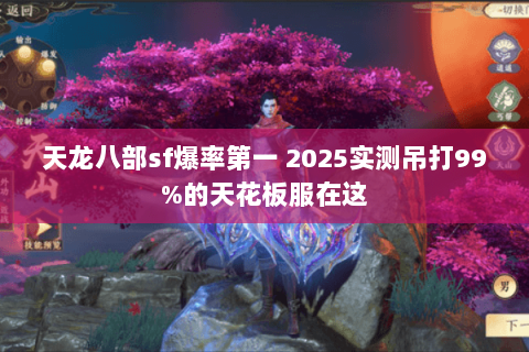 天龙八部sf爆率第一 2025实测吊打99%的天花板服在这