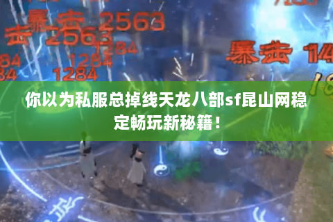 你以为私服总掉线天龙八部sf昆山网稳定畅玩新秘籍！