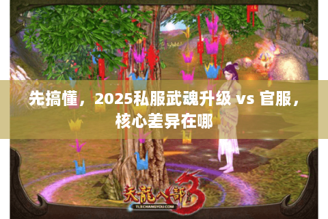 先搞懂，2025私服武魂升级 vs 官服，核心差异在哪