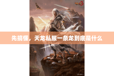 先搞懂，天龙私服一条龙到底是什么