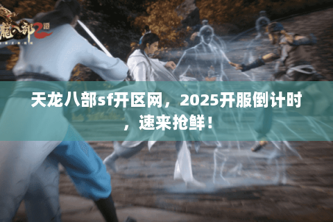 天龙八部sf开区网，2025开服倒计时，速来抢鲜！