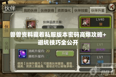 兽兽资料藏着私服版本密码高爆攻略+避坑技巧全公开