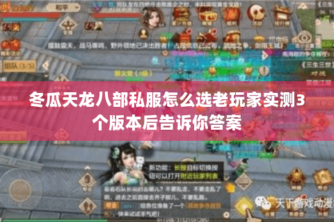 冬瓜天龙八部私服怎么选老玩家实测3个版本后告诉你答案
