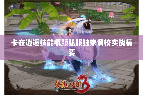 卡在逍遥技能瓶颈私服独家调校实战精要