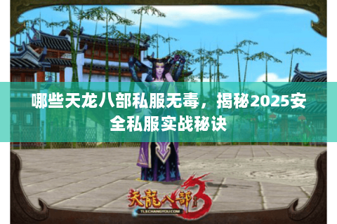 哪些天龙八部私服无毒，揭秘2025安全私服实战秘诀