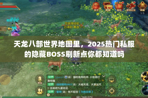 天龙八部世界地图里，2025热门私服的隐藏BOSS刷新点你都知道吗