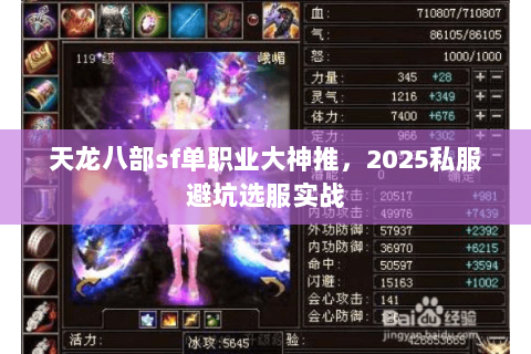 天龙八部sf单职业大神推，2025私服避坑选服实战