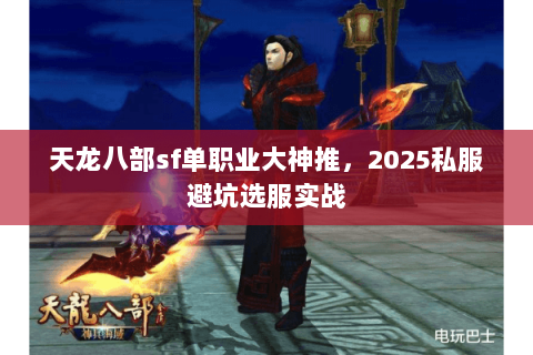 天龙八部sf单职业大神推，2025私服避坑选服实战