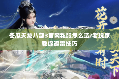 冬瓜天龙八部3官网私服怎么选?老玩家教你避雷技巧