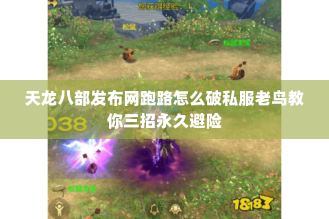 天龙八部发布网跑路怎么破私服老鸟教你三招永久避险