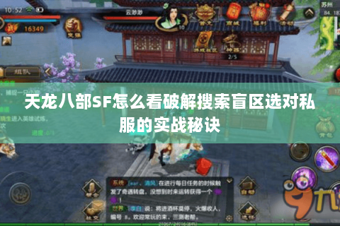 天龙八部SF怎么看破解搜索盲区选对私服的实战秘诀