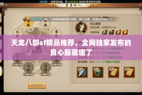 天龙八部sf精品推荐，全网独家发布的良心服藏哪了