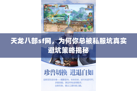 天龙八部sf网，为何你总被私服坑真实避坑策略揭秘
