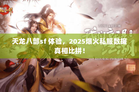 天龙八部sf 体验，2025爆火私服数据真相比拼！