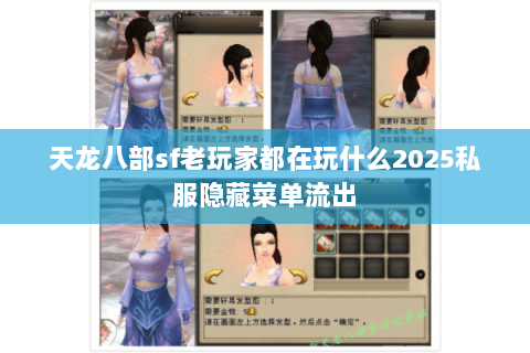 天龙八部sf老玩家都在玩什么2025私服隐藏菜单流出