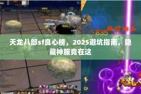 天龙八部sf良心榜，2025避坑指南，隐藏神服竟在这