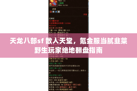 天龙八部sf 散人天堂，氪金服当腻韭菜野生玩家绝地翻盘指南