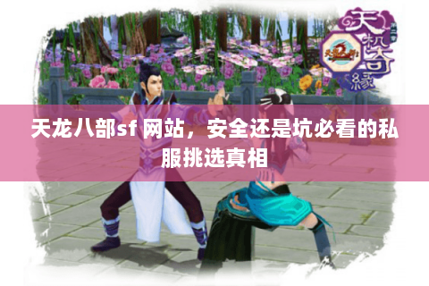 天龙八部sf 网站，安全还是坑必看的私服挑选真相
