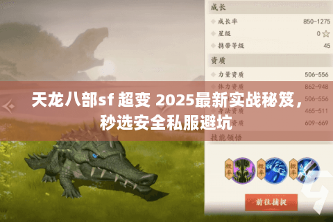天龙八部sf 超变 2025最新实战秘笈，秒选安全私服避坑