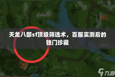 天龙八部sf顶级筛选术，百服实测后的独门珍藏