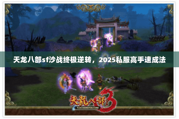天龙八部sf沙战终极逆转，2025私服高手速成法