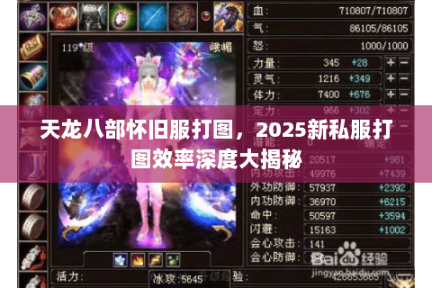 天龙八部怀旧服打图，2025新私服打图效率深度大揭秘