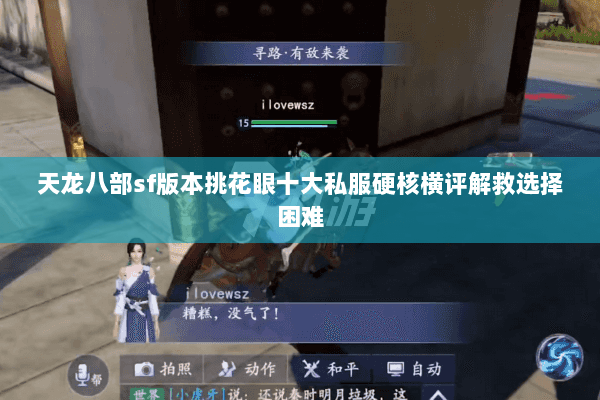 天龙八部sf版本挑花眼十大私服硬核横评解救选择困难