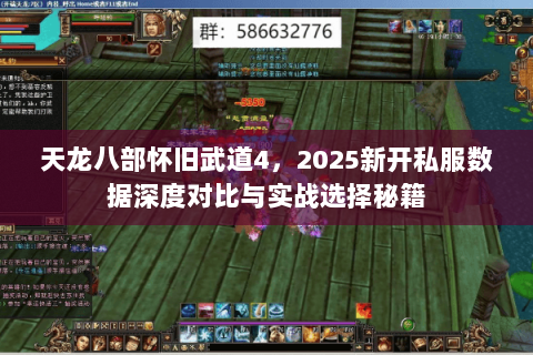 天龙八部怀旧武道4，2025新开私服数据深度对比与实战选择秘籍