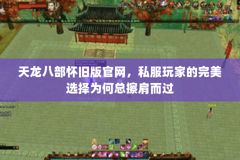 天龙八部怀旧版官网，私服玩家的完美选择为何总擦肩而过