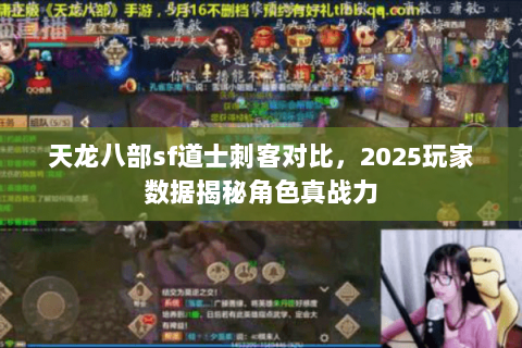 天龙八部sf道士刺客对比，2025玩家数据揭秘角色真战力