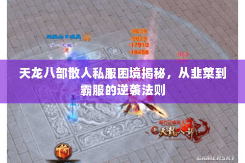 天龙八部散人私服困境揭秘，从韭菜到霸服的逆袭法则