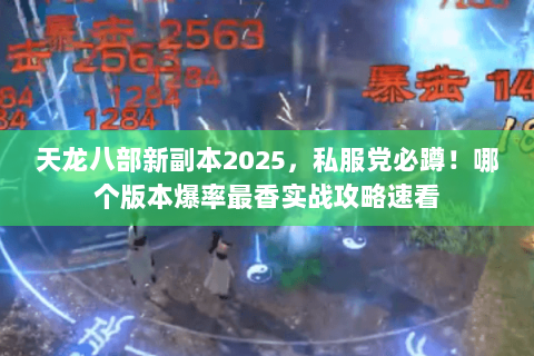 天龙八部新副本2025，私服党必蹲！哪个版本爆率最香实战攻略速看